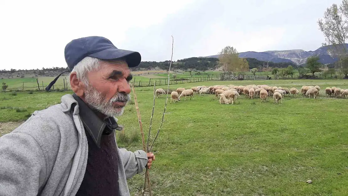 Küçükbaş hayvanlar meralara çıkmaya başladı