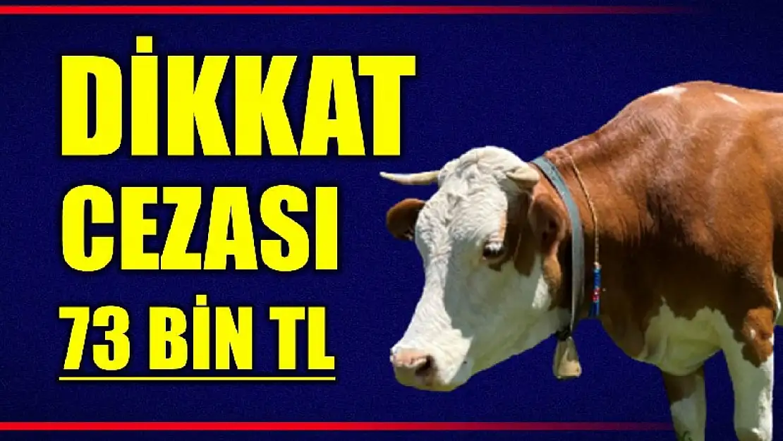 Hayvan yetiştiricileri dikkat