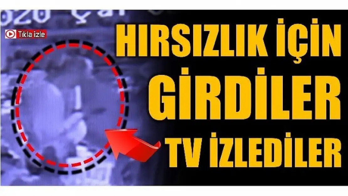 HIRSIZLIK İÇİN GİRDİLER DİZİ İZLEDİLER