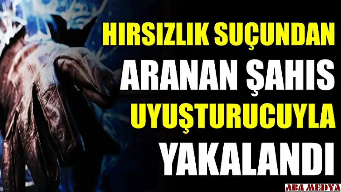 Hırsızlık suçundan aranıyordu