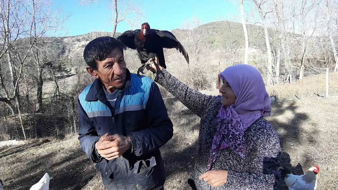 Hobi olarak başlamışlardı, artık gelirlerini o meslekten sağlıyorlar