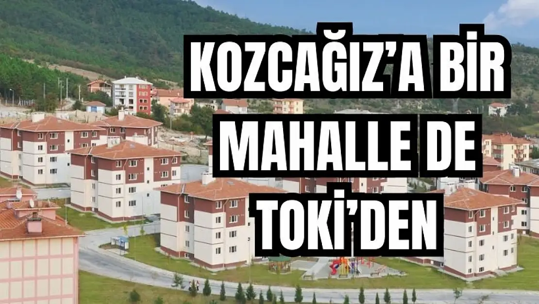 İhale 10 Haziran'da