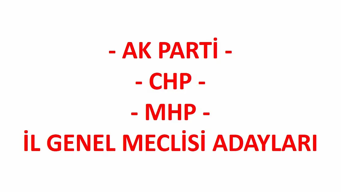 İl genel meclisi üyesi adayları açıklandı