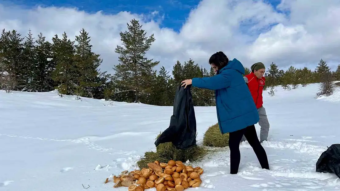 Ilgaz Dağı'nda hayvanlar için yiyecek bırakıldı