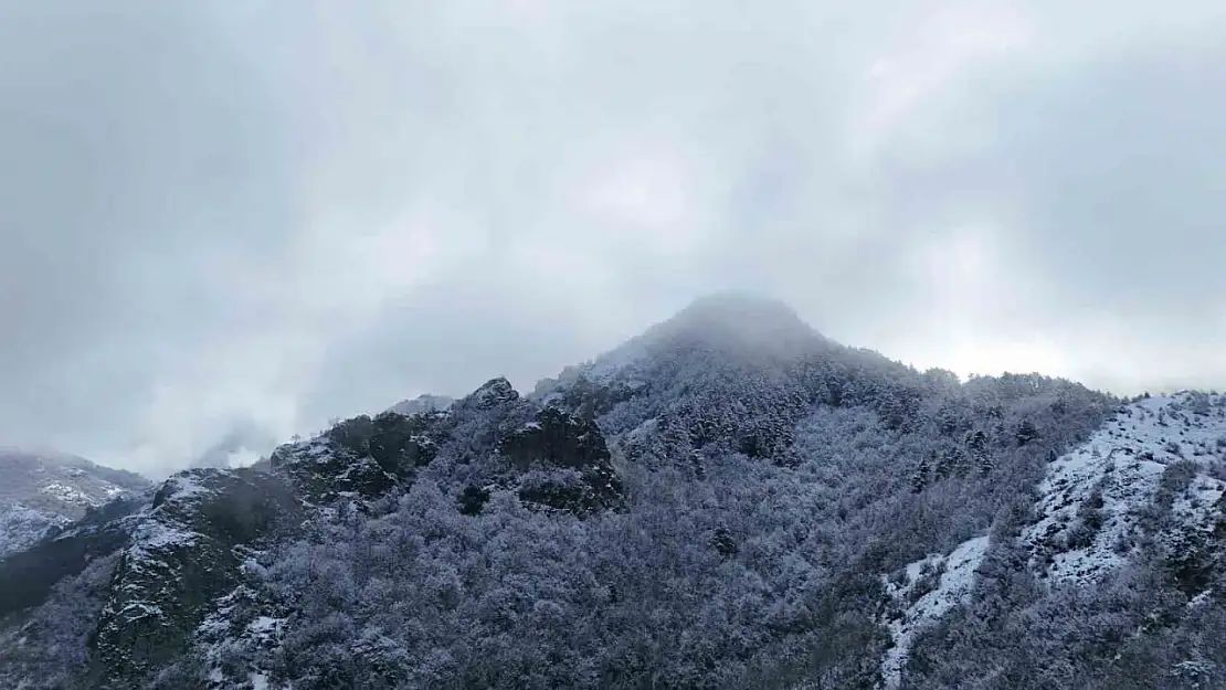 Ilgaz Dağı'nın eteklerinde buluşan kar ve sis mest etti