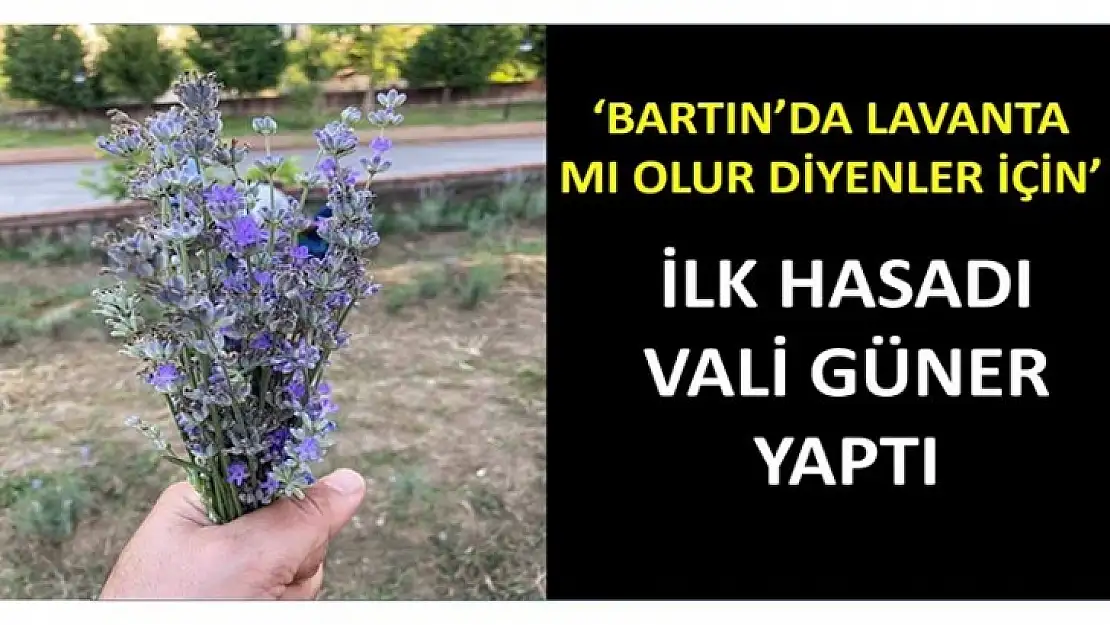 İLK HASADI VALİ GÜNER YAPTI