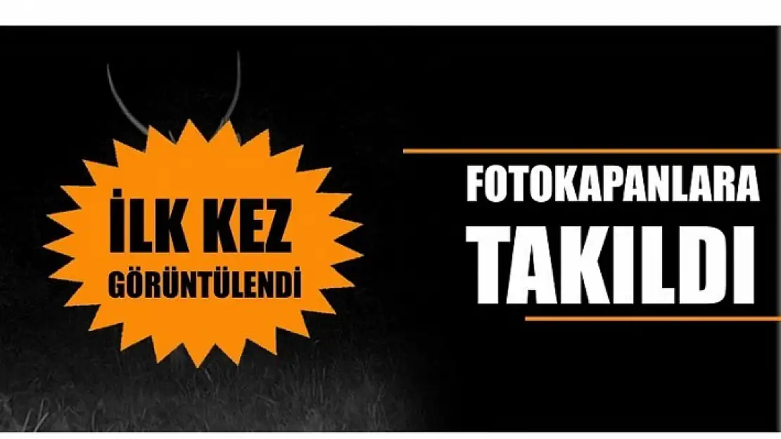 İLK KEZ GÖRÜNTÜLENDİ