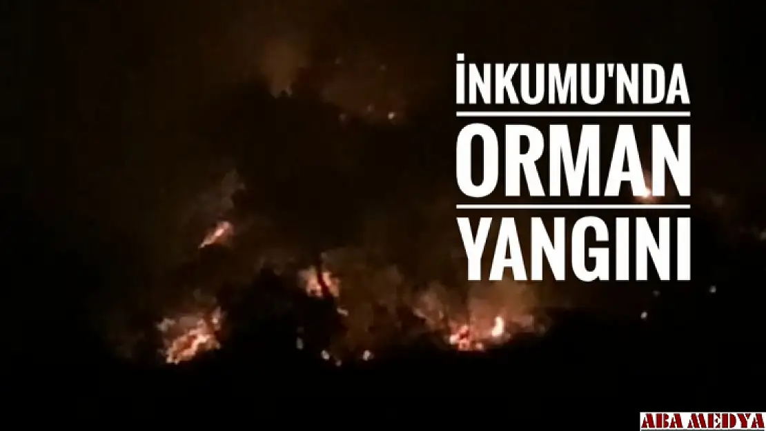 İnkumu'nda Orman Yangını