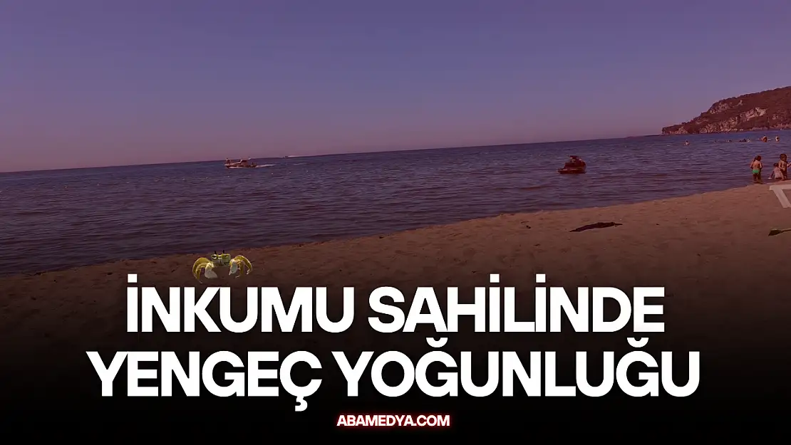 İnkumu Sahilinde Yengeç ve Denizanası Yoğunluğu Şaşırttı