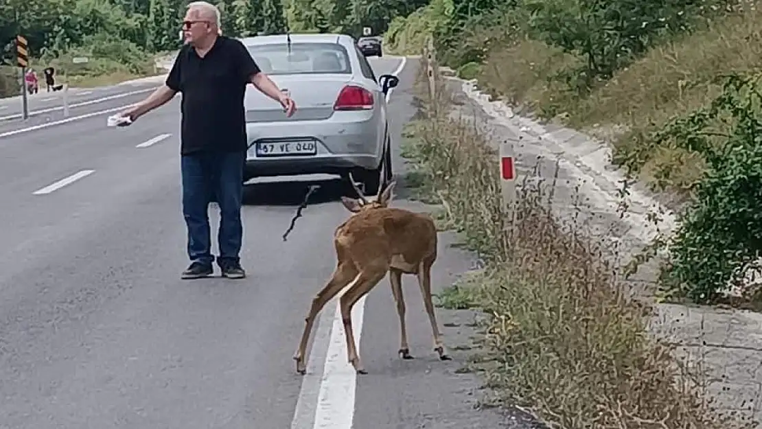 İnsanlık ölmemiş dedirten olay