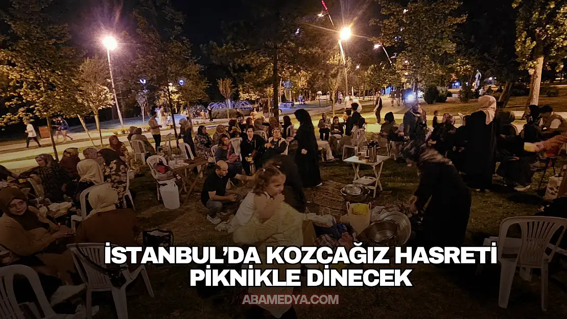 İstanbul'da Kozcağız Hasreti Piknikle Dinecek