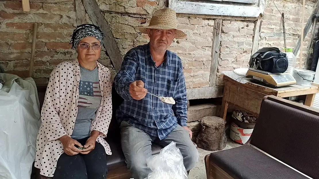 İstanbul'dan memlekete dönen iki kardeş, 10 dönümlük arazide salep bitkisi yetiştiriyor