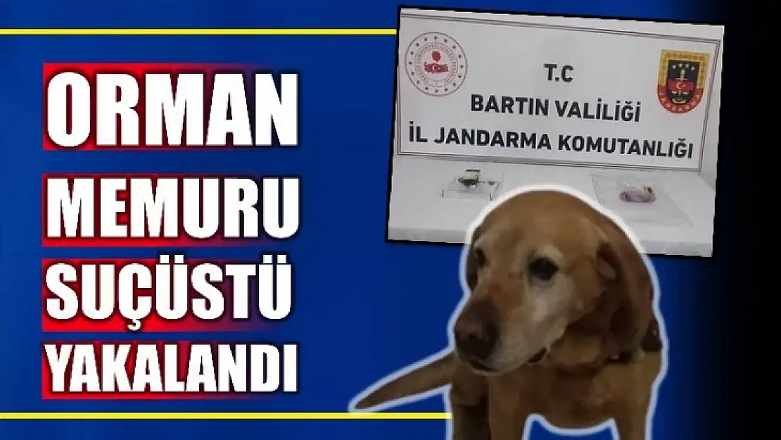 Jandarma ekiplerince yakalandılar