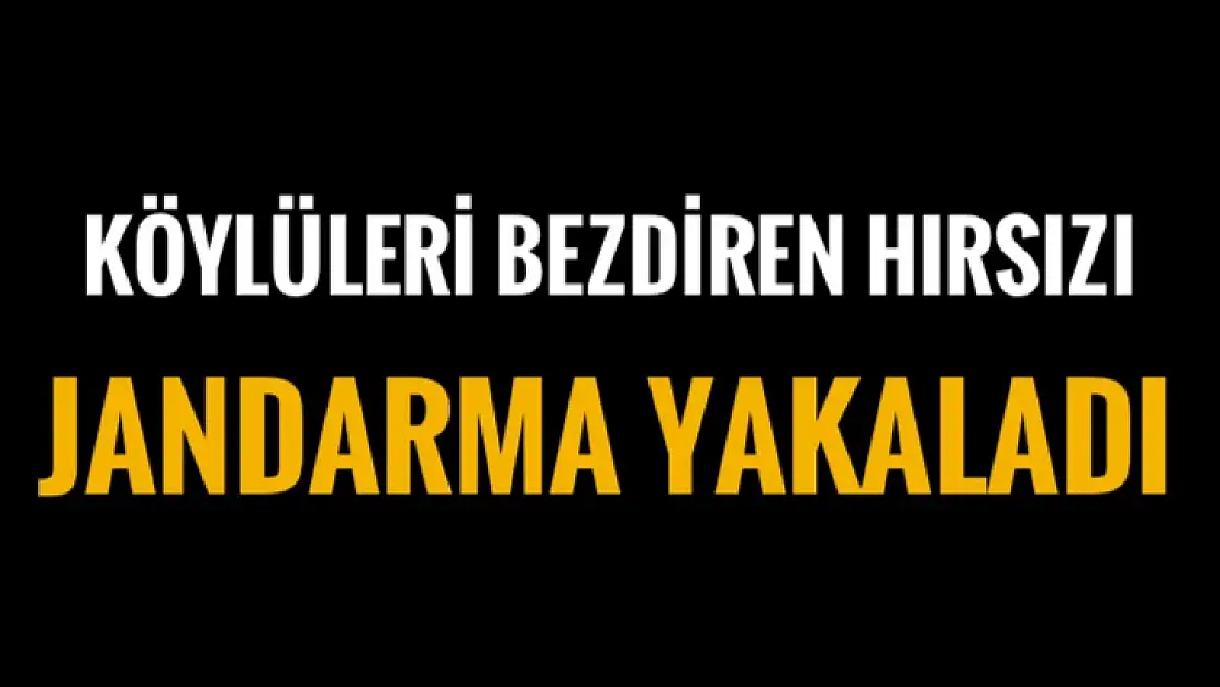 Jandarma özel ekiple yakaladı