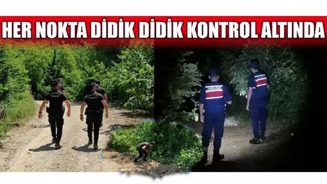 JANDARMA VE POLİS ORMANLIK ALANLARDA DENETİMDE