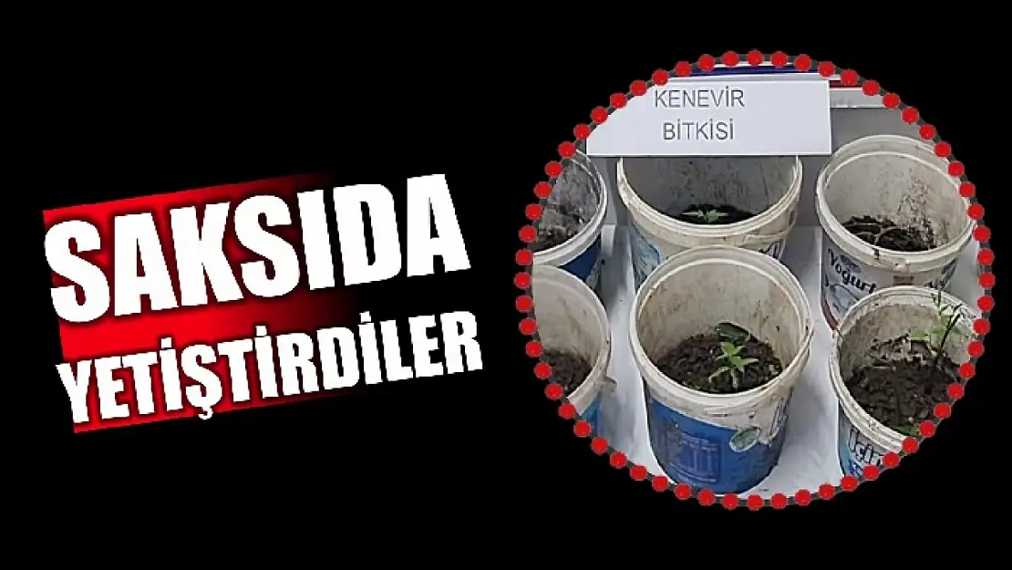Jandarma yakaladı