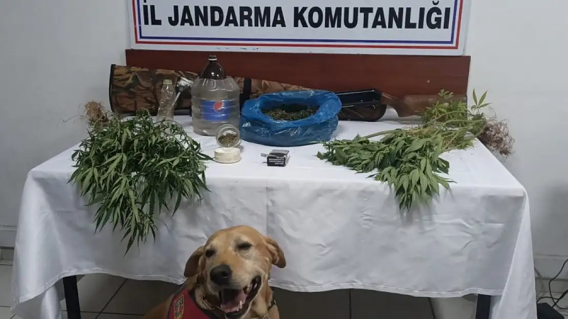 JANDARMADAN UYUŞTURUCU OPERASYONU