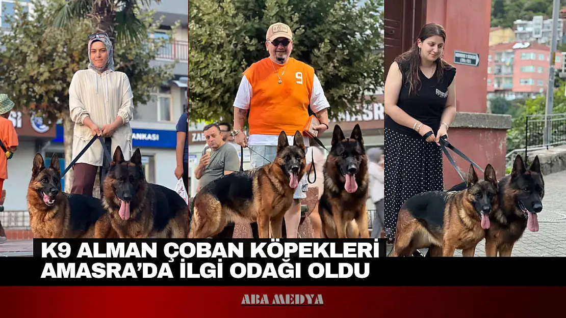 K9 Alman Çoban Köpekleri Amasra'da İlgi Odağı Oldu