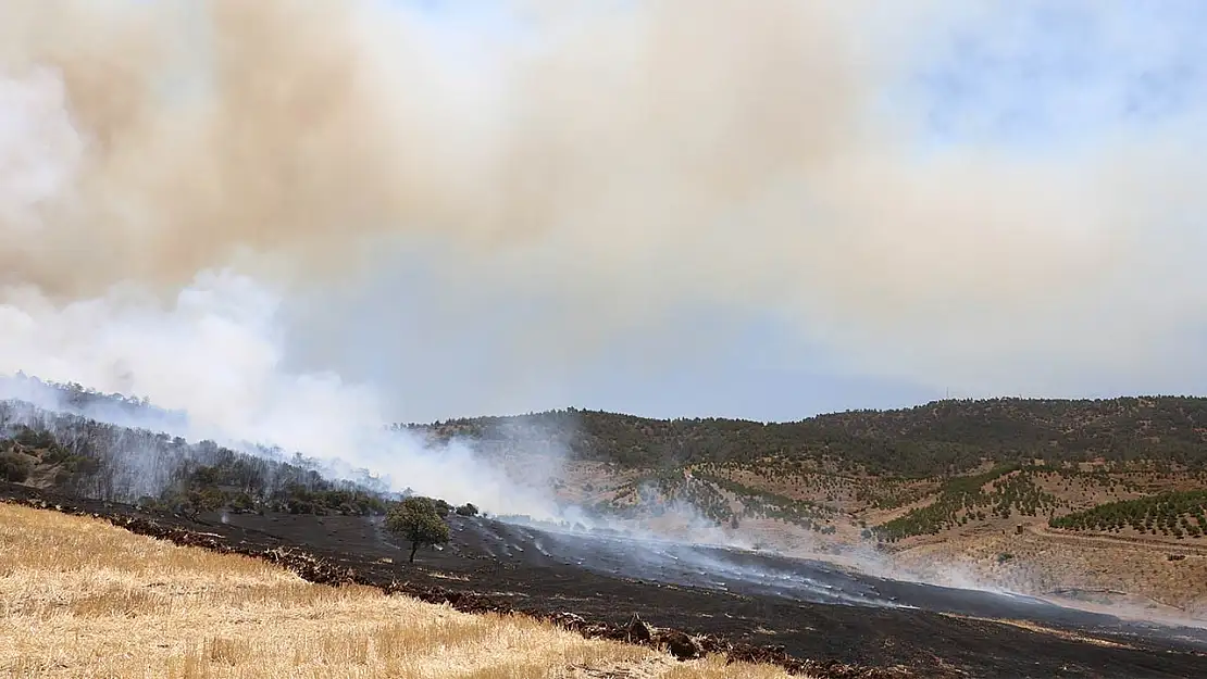 Kahramanmaraş'taki orman yangını kontrol altına alındı