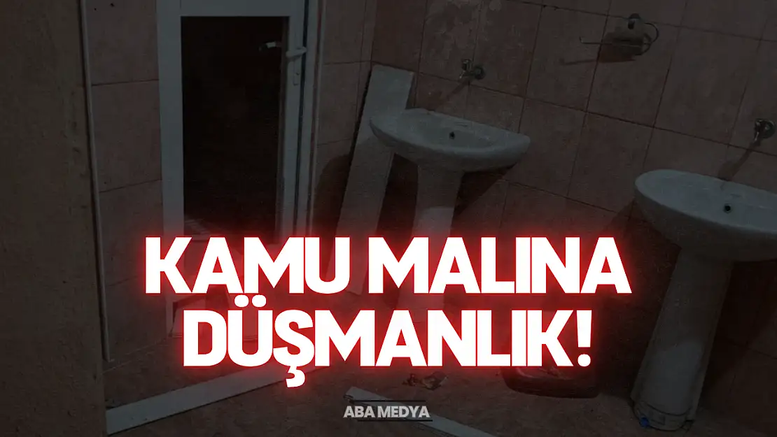 Kamu Malına Düşmanlık!