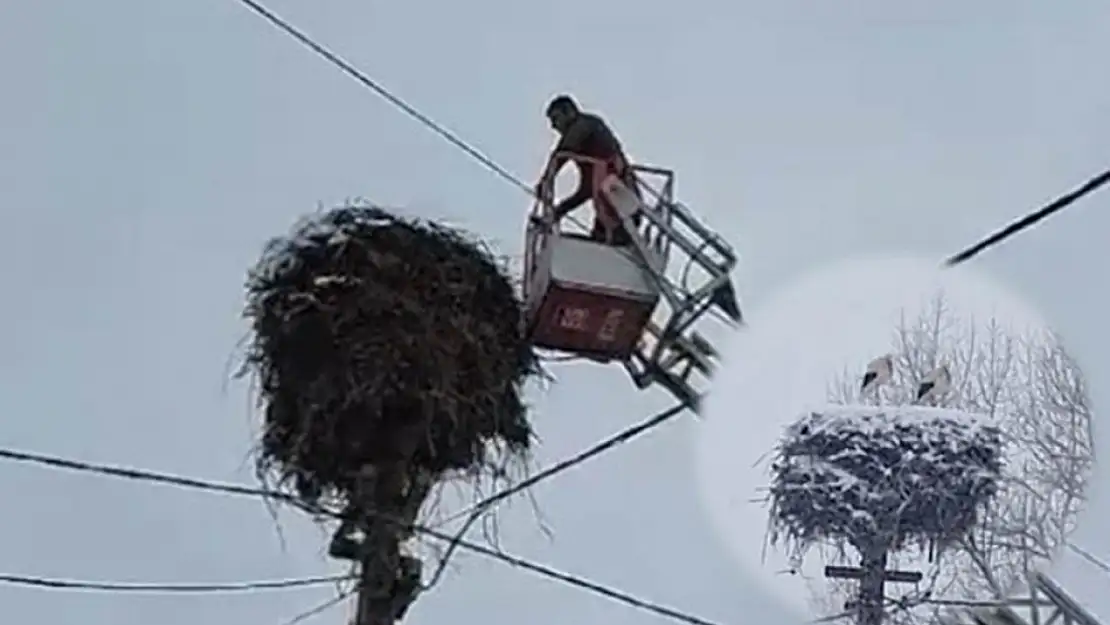 Kara yakalanan leylekleri itfaiye ekipleri besledi