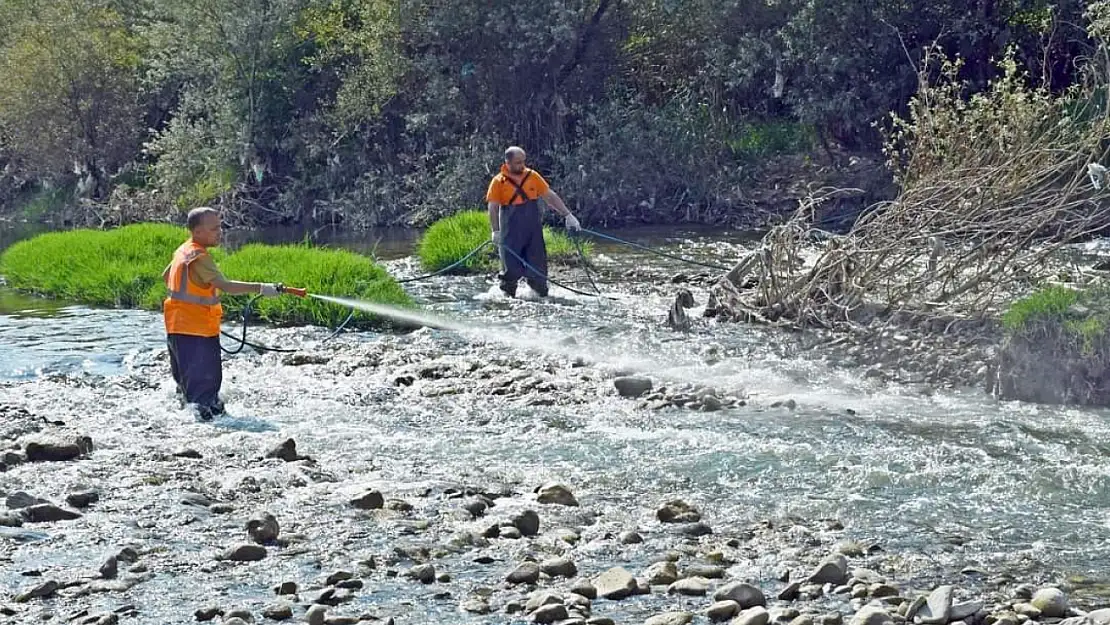 Karabük'te artan sivrisineklere karşı ilaçlama yapılıyor