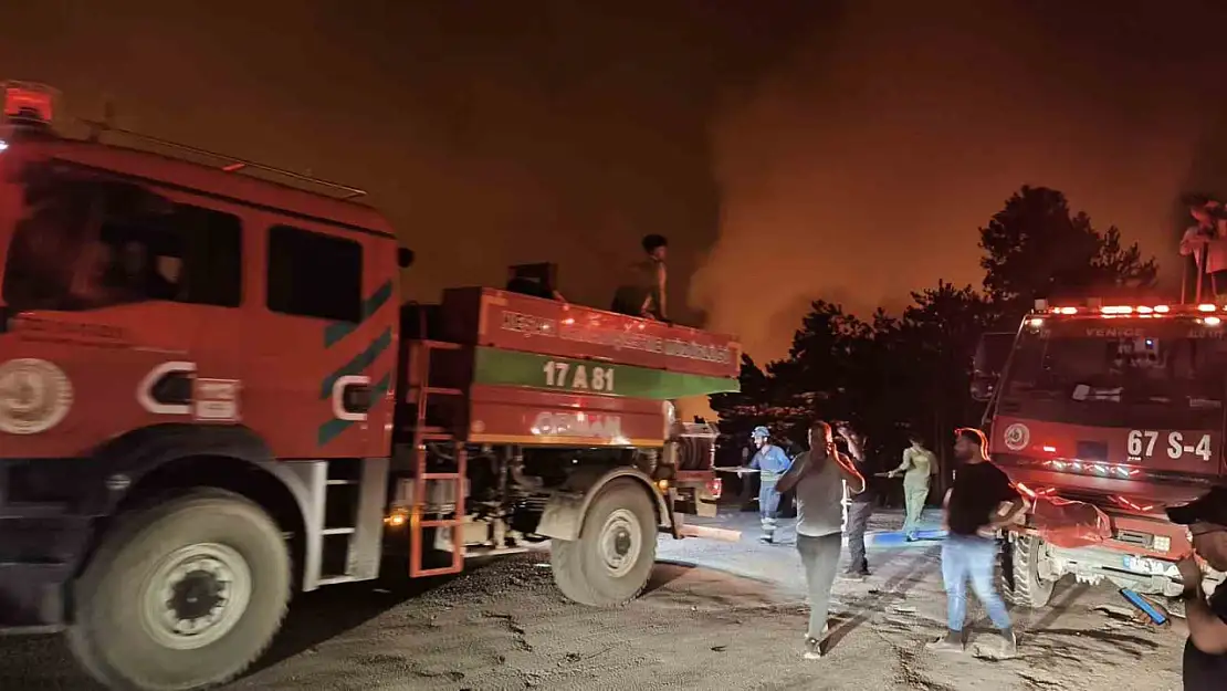 Karabük'te orman yangını büyüyor