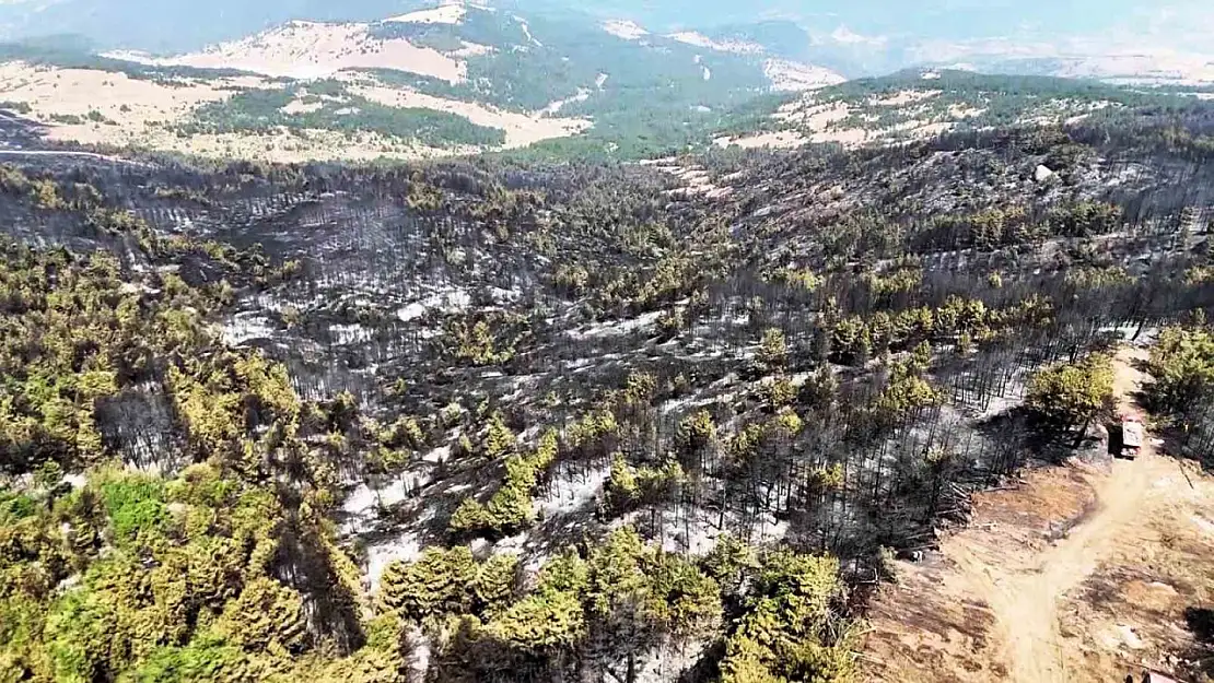 Karabük'te orman yangınının ardından yürek burkan manzara