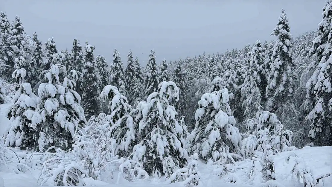 Karabük'te sis ve kar yağışı devam ediyor