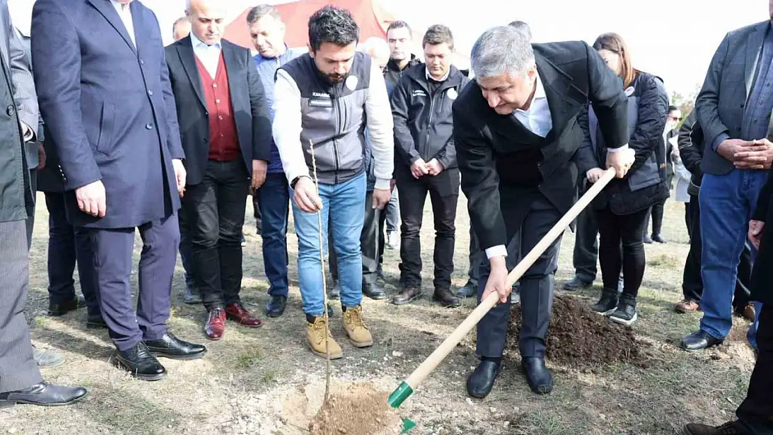 Karabük'te sumak fidanları toprakla buluşturuldu