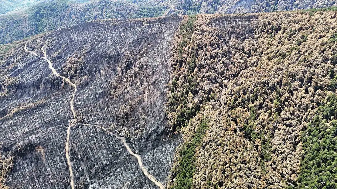 Karabük'te yangın sonrası ormanlar hazan rengine büründü