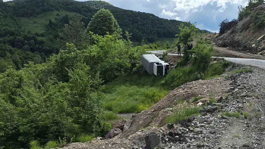 Karadeniz Ereğli'de  kamyonet şarampole yuvarlandı