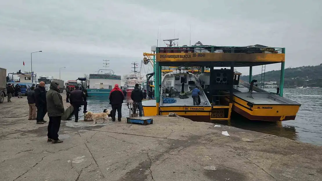 Karadeniz Ereğli Limanı'nda hamsi hareketliliği