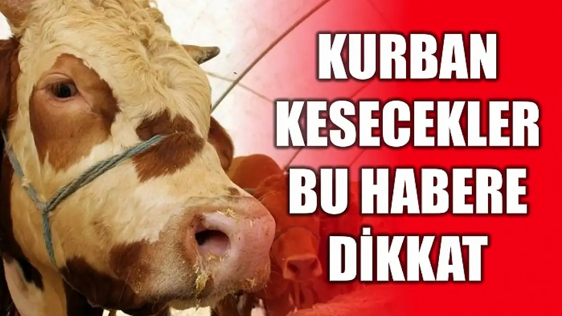 Kararı okumadan kurban kesmeyin