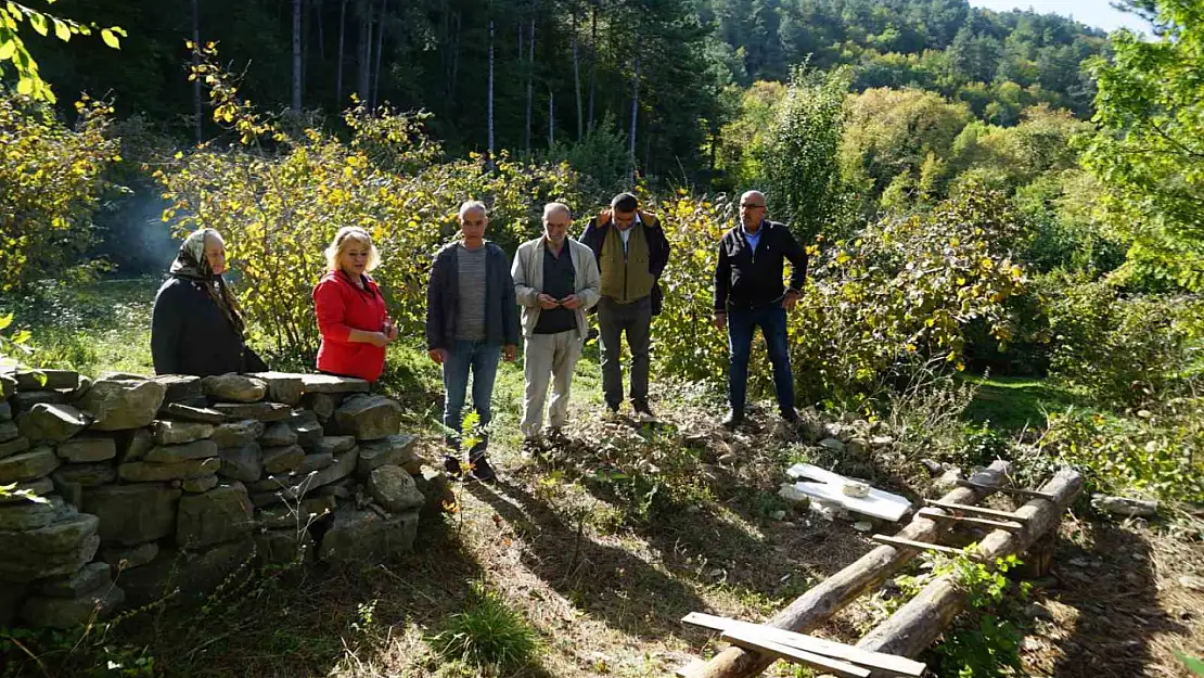 Kastamonu'da ayılar ilçeyi mesken tuttu