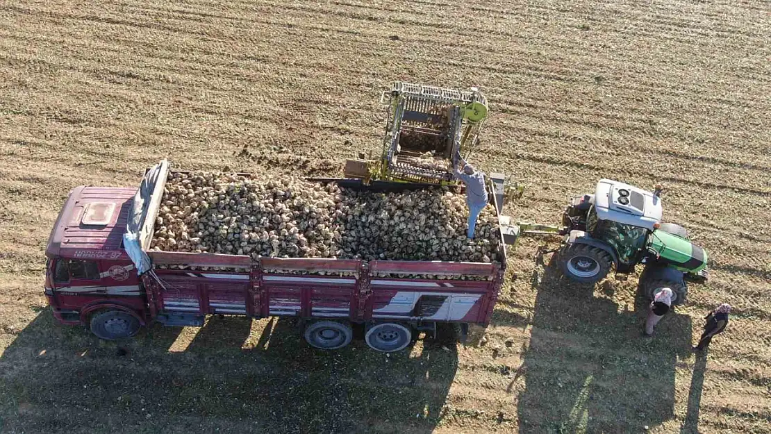 Kastamonu'da çiftçilerin zorlu pancar mesaisi devam ediyor