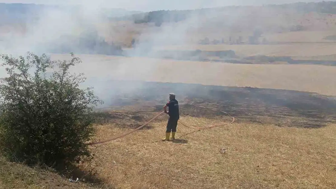 Arazi yangınında 2 dekar alan zarar gördü