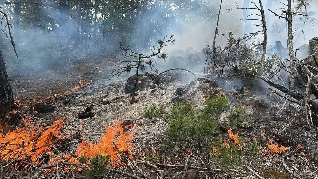 Kastamonu'da çıkan orman yangını büyümeden söndürüldü