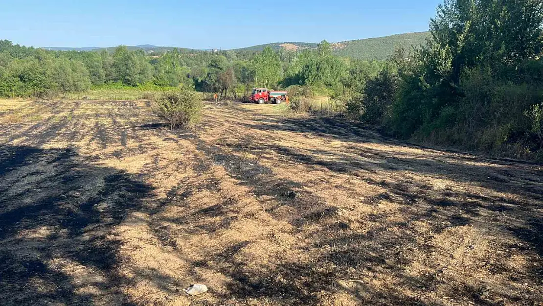 Kastamonu'da elektrik tellerinin kopması sebebiyle ormanlık alanda çıkan yangın söndürüldü