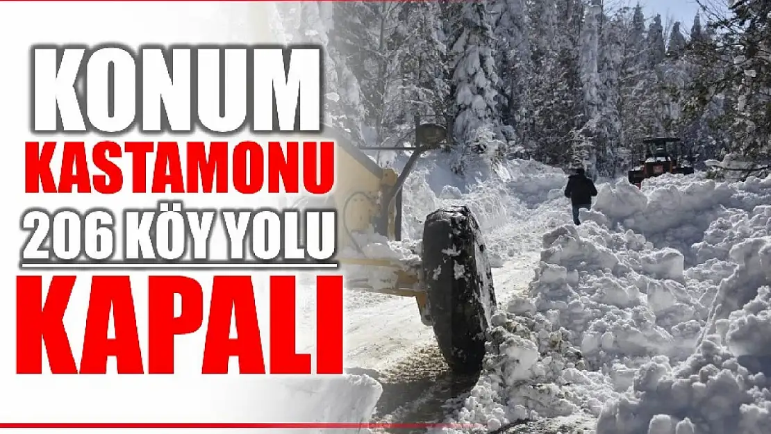 Kastamonu'da kar yağışı etkili