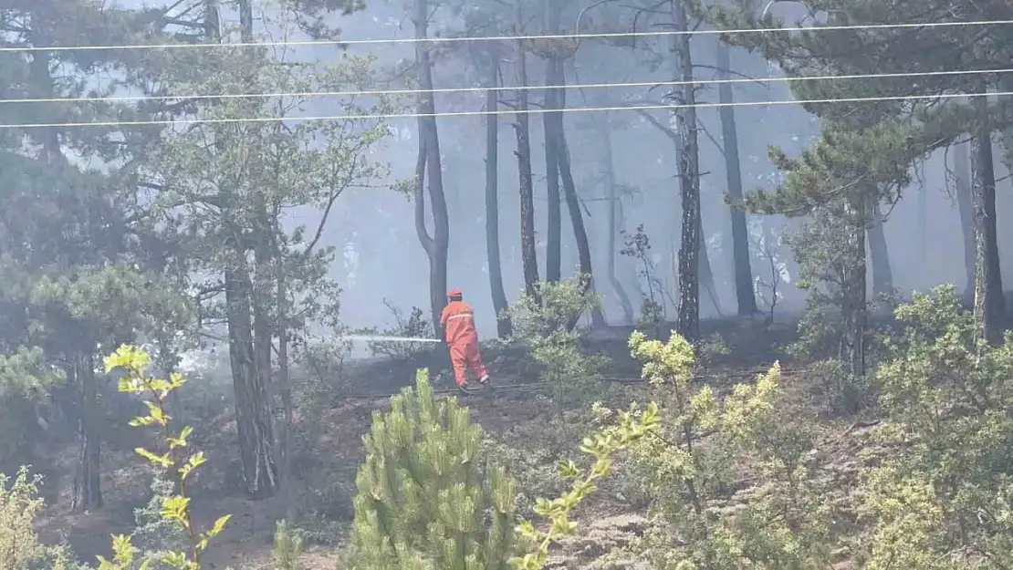 Kastamonu'da orman yangını