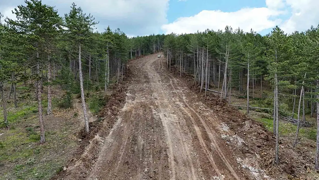 Kastamonu'da ormanları yangınlardan korumak için emniyet yolu çalışmaları sürüyor
