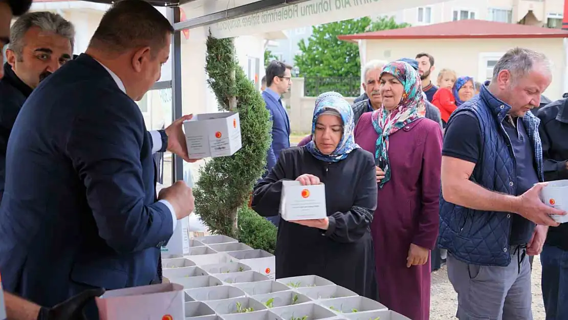 Vatandaşlara ücretsiz ata tohumu fidesi dağıtılacak