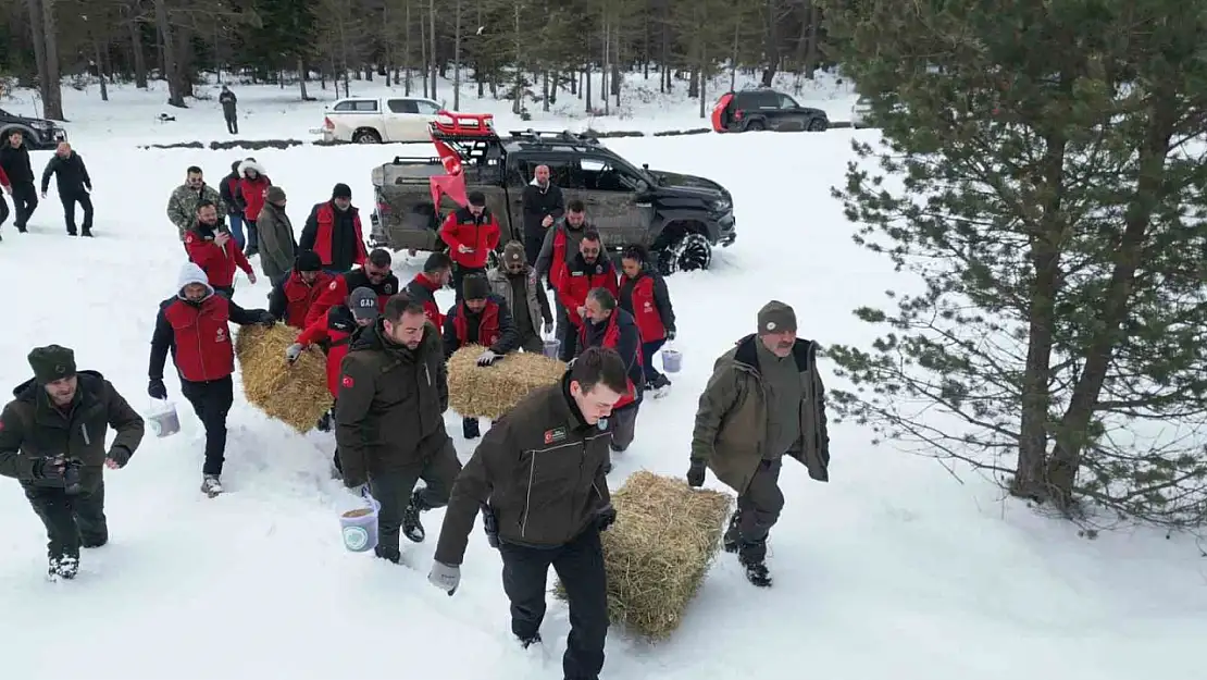 Doğaya yem ve yiyecek bırakıldı