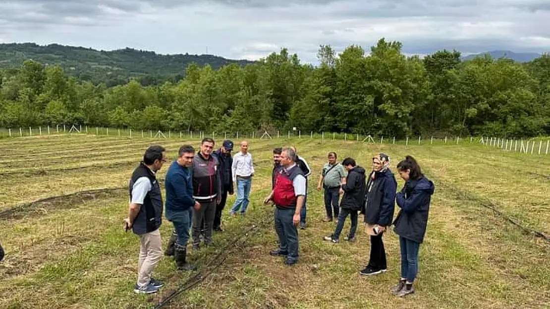 Kastamonu Orman Müdürlüğünden Bartın'a ziyaret