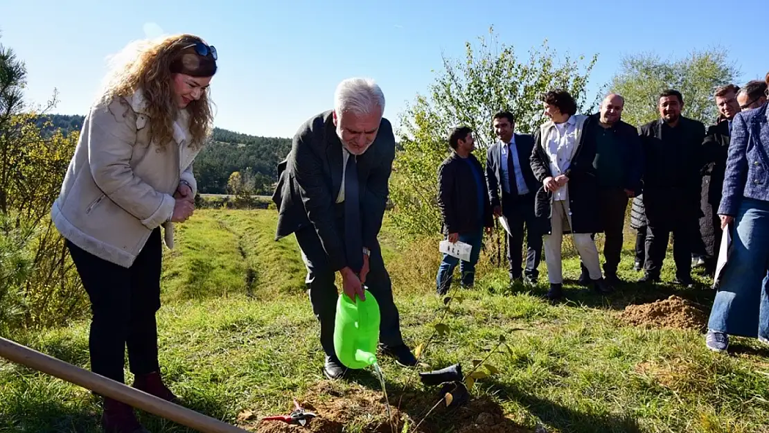 Kastamonu Üniversitesi'nde 100 fidan dikildi