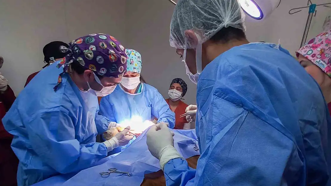 Kastamonu Üniversitesi'nde 5 ayda 334 hayvan tedavi edildi