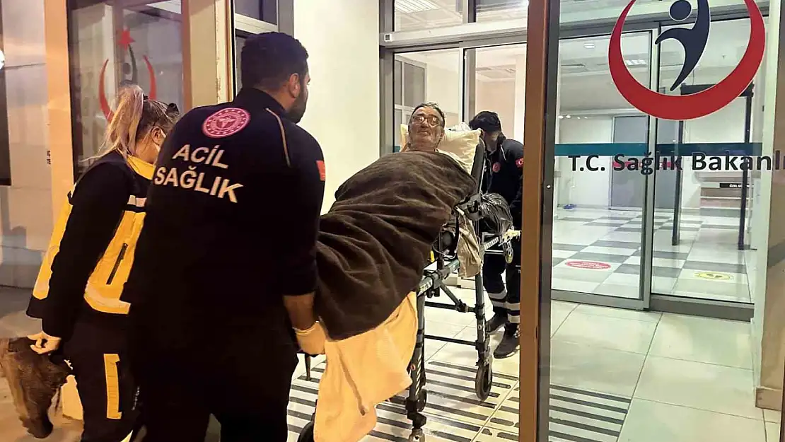 Kaybolduğu ormanda 14 gün boyunca mağaraya sığınıp, ot yiyerek hayatta kaldı