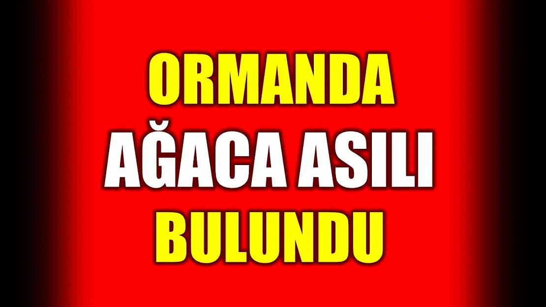 Kayıp adam ormanda ağaca asılı bulundu