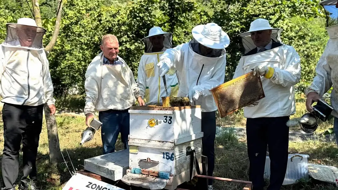 Kestane balı hasadı Çaycuma'da gerçekleştirildi
